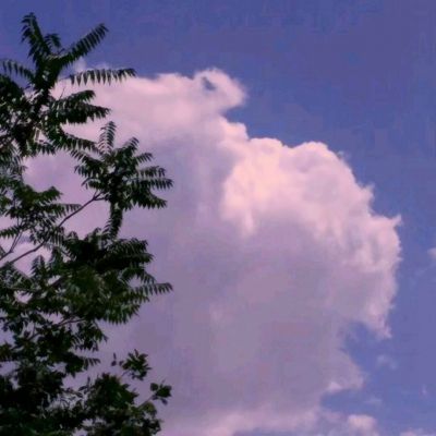 逍遥诀九游版下载
