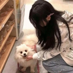 御剑红颜手游下载